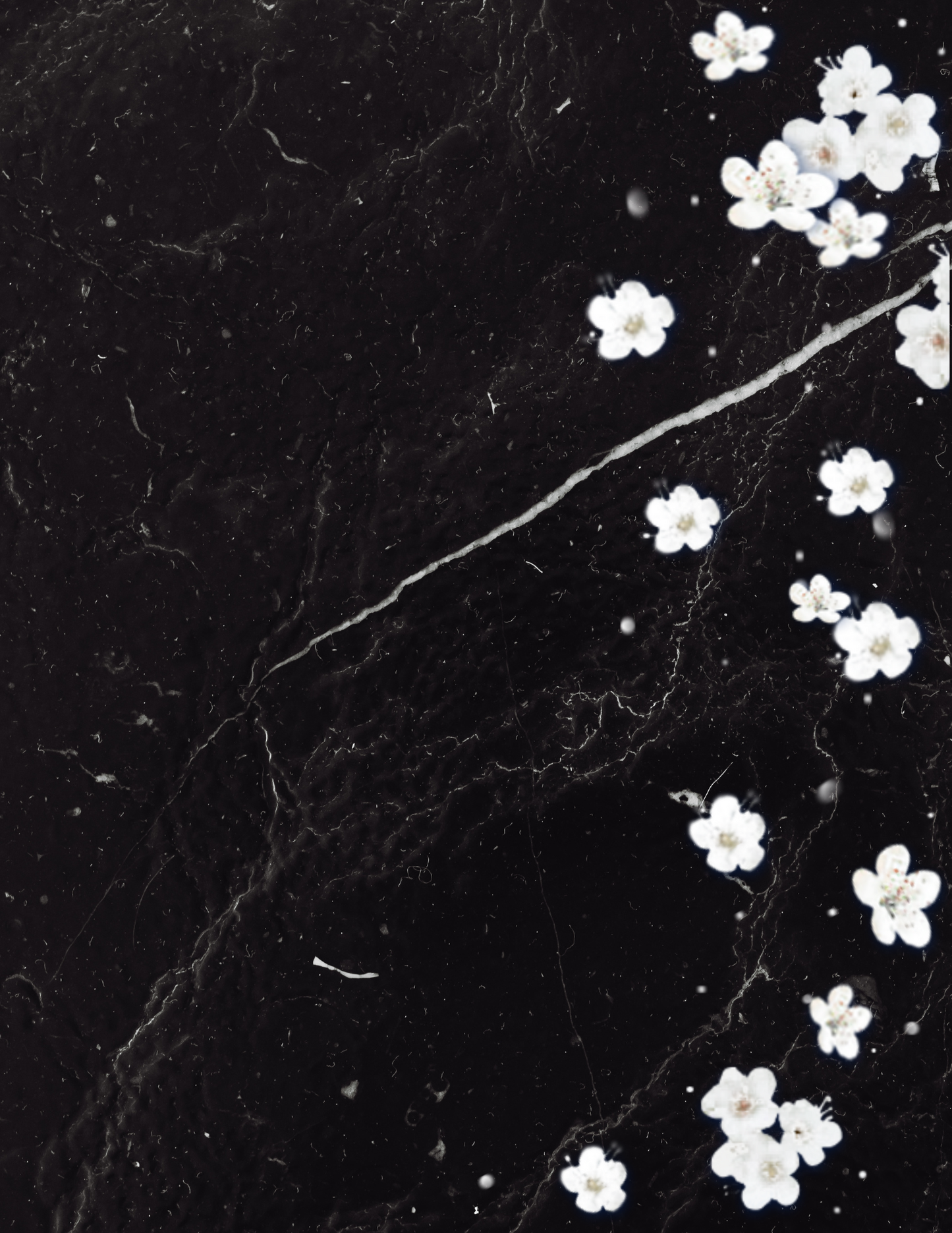 Notebook Front & Back Design - PDF Template