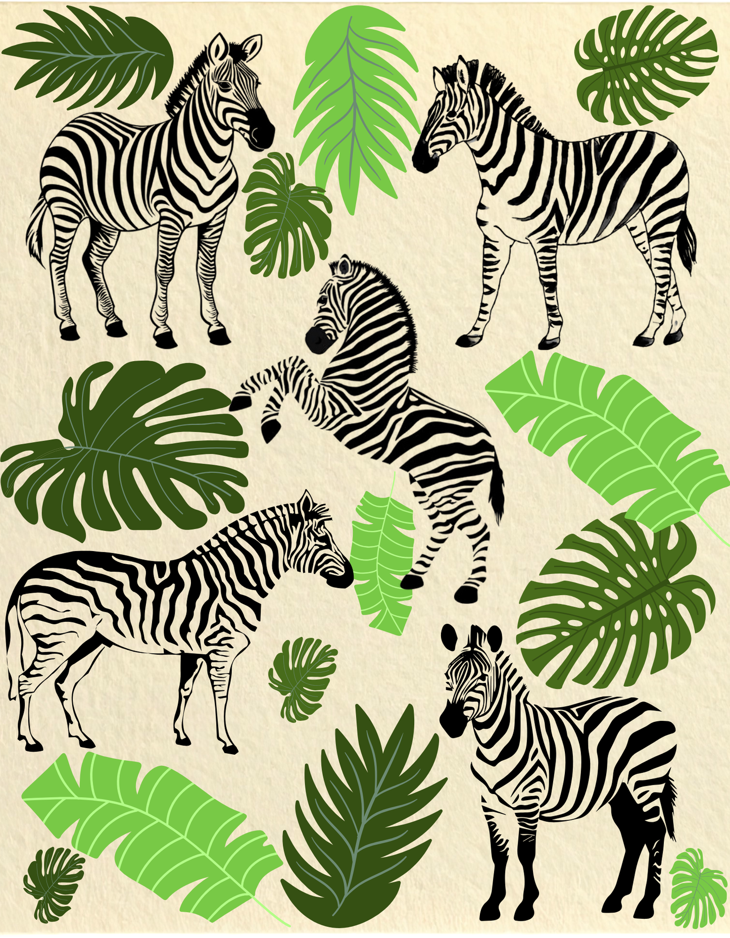 Zebra Design Template - PNG & PDF