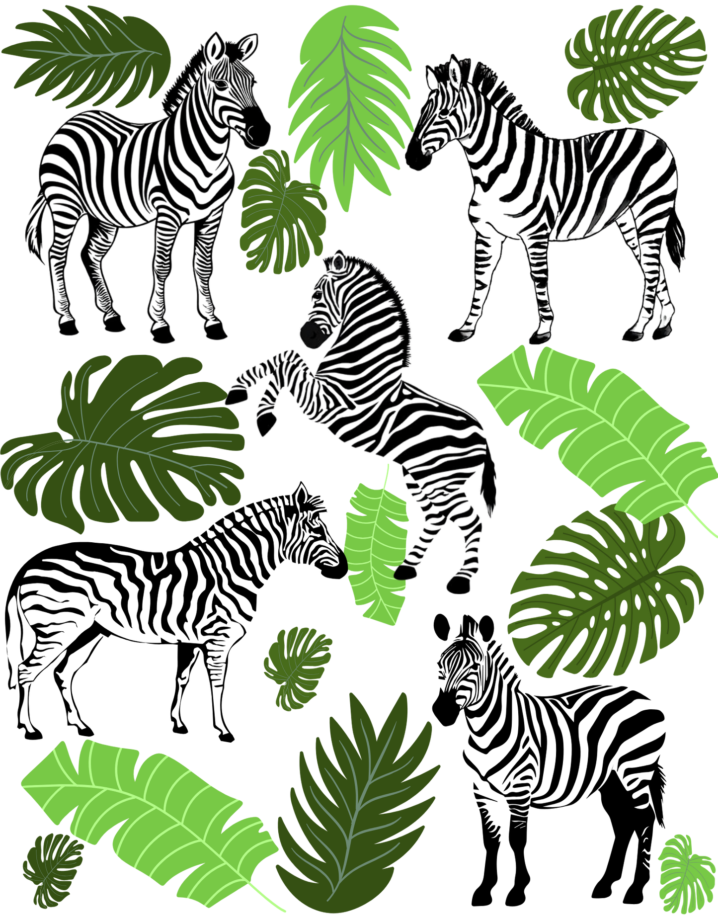 Zebra Design Template - PNG & PDF